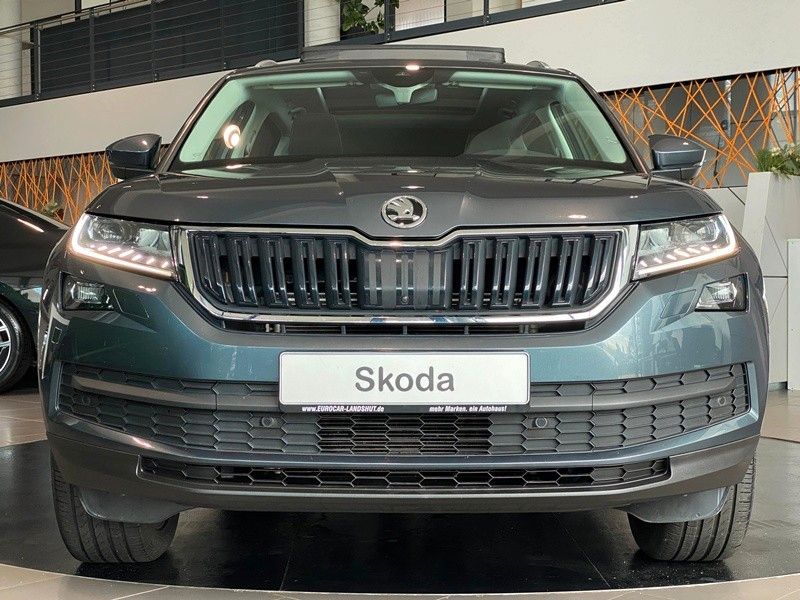 Skoda Kodiaq 2.0 TSI 4x4 Drive 125 ViCo Sthz Pano AHK