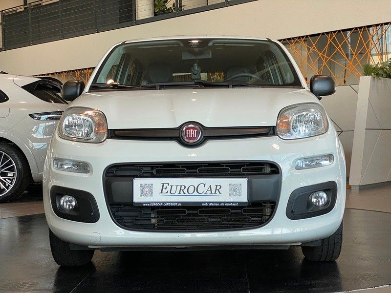 Fiat Panda 1.2 8V Easy CityPaket+ Connect Sitzhzg DAB